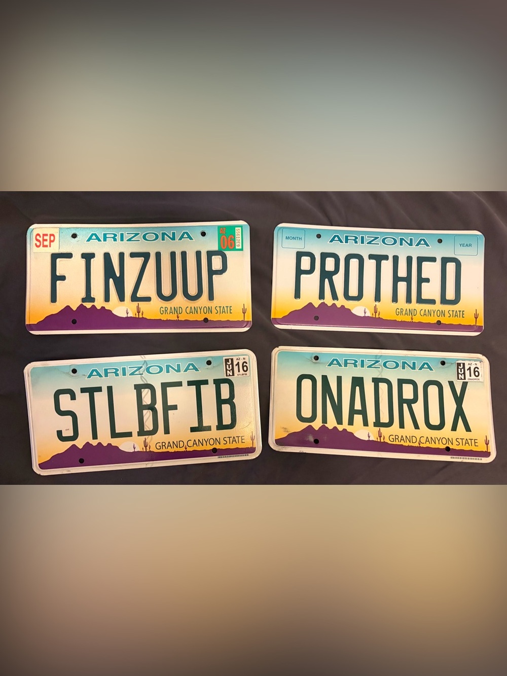 Lot of 4 Arizona Custom Vanity License Plates Grand Canyon State Desert Graphic